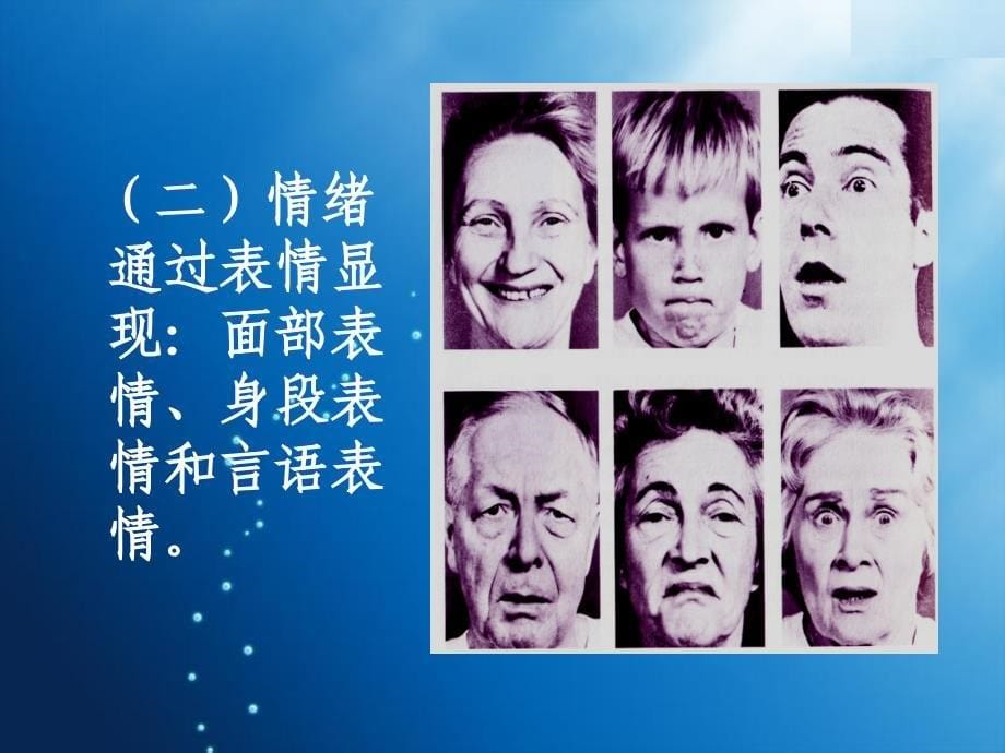 大学生压力情绪管理与危机干预_第5页