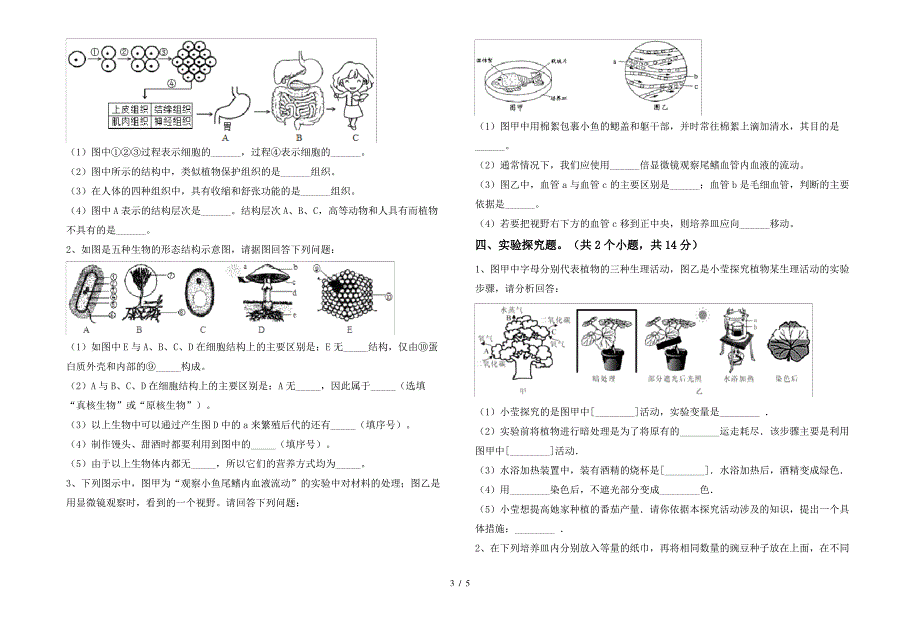 初中七年级生物(下册)期末卷及答案_第3页