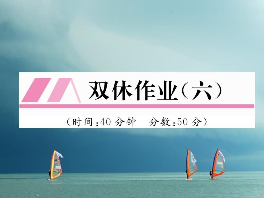 2023春九年级化学下册 双休作业（六）作业课件 （新版）新人教版_第1页