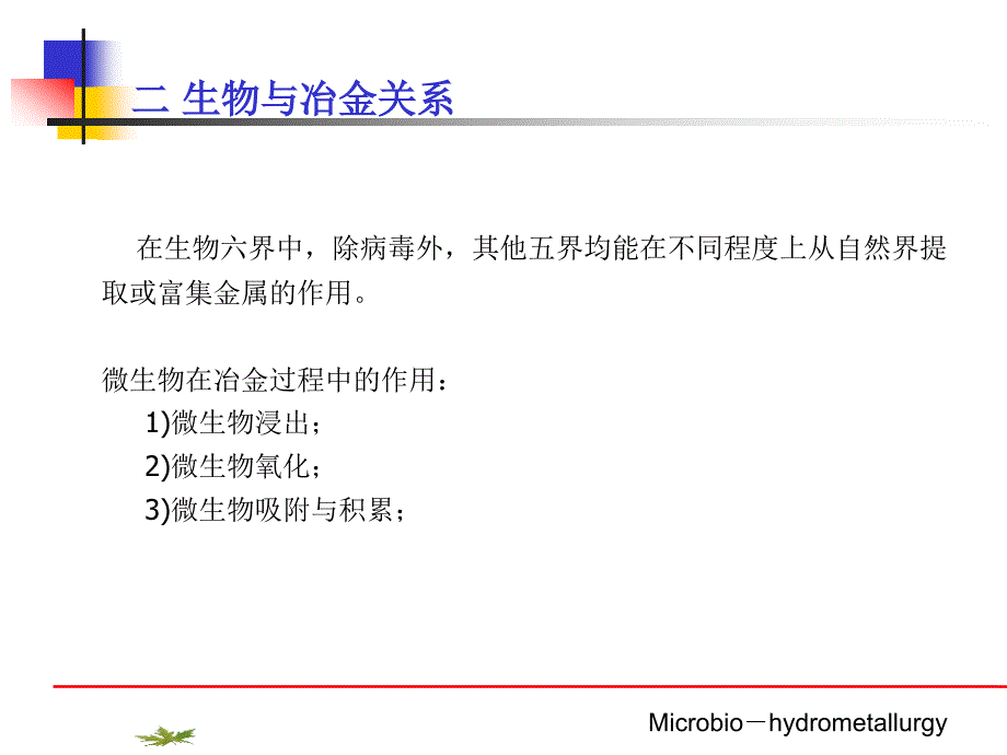 微生物冶金-PPT课件剖析_第3页