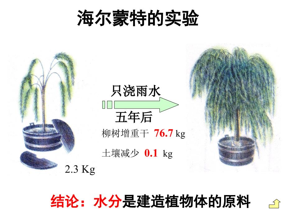 《光和作用上课》PPT课件_第4页