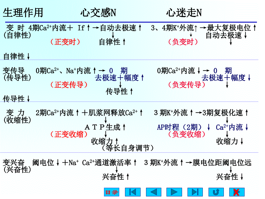 大学医学院生理版课件第四章心血管活动的调节_第4页