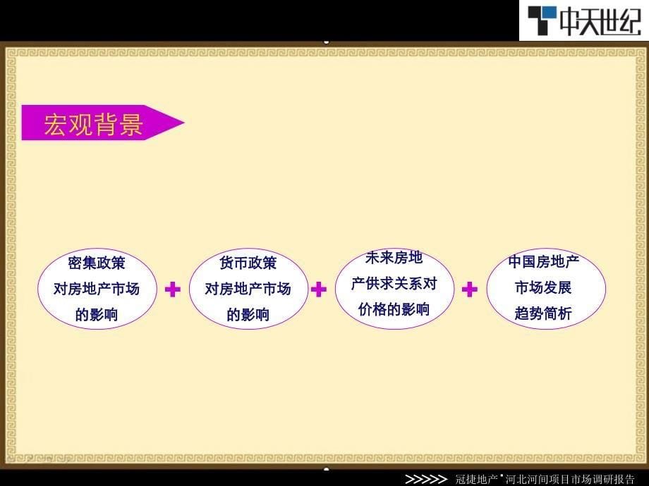 3月冠捷地产河北沧州河间项目市场调研报告192p数学_第5页