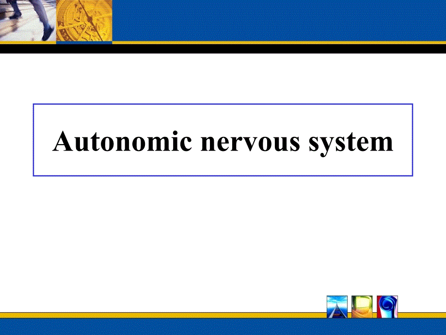 神经解剖学课件：Autonomic nervous system_第1页