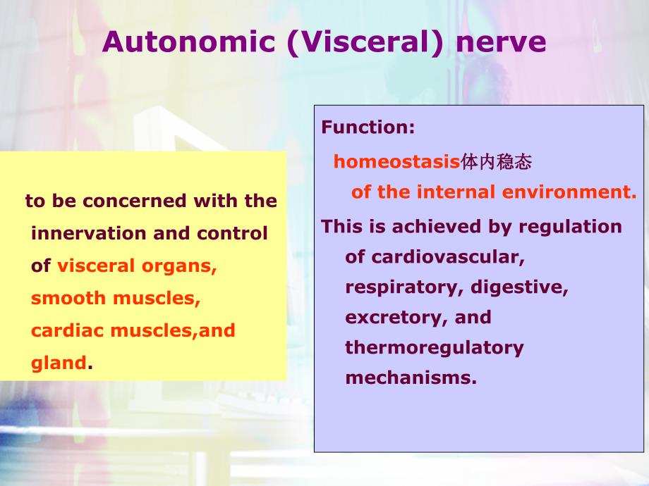 神经解剖学课件：Autonomic nervous system_第2页