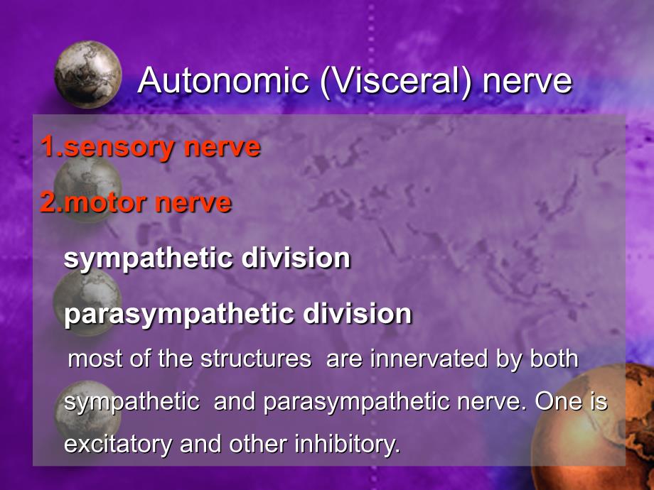 神经解剖学课件：Autonomic nervous system_第3页