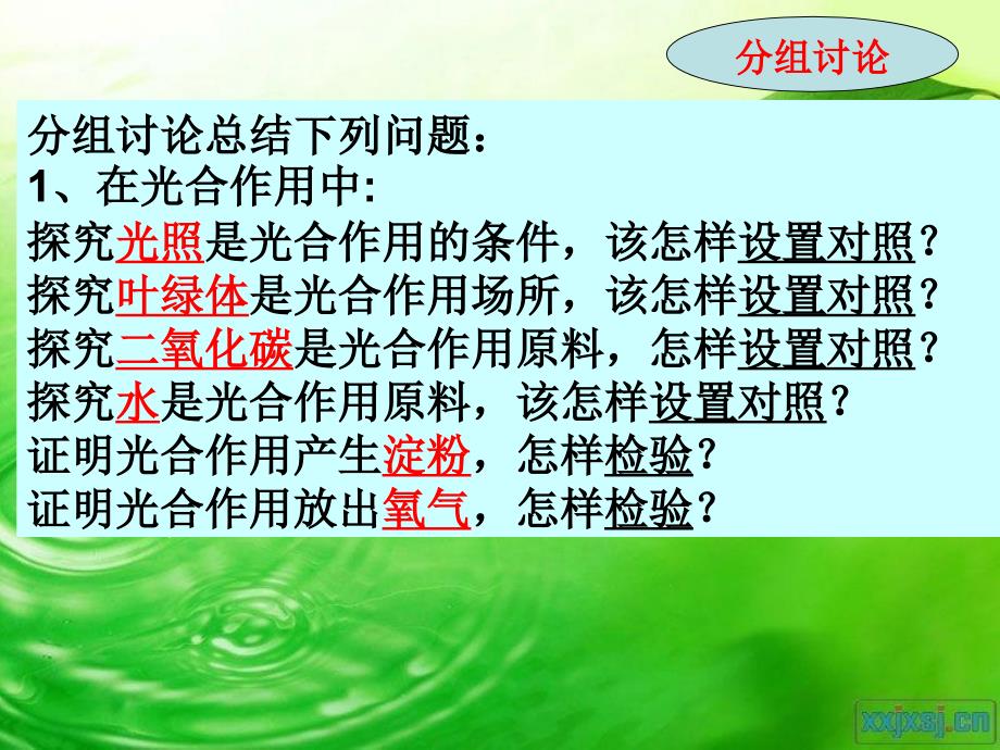 植物的三大作用实验专题复习_第3页