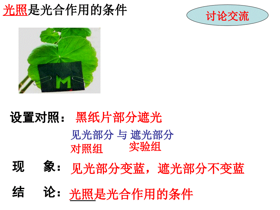 植物的三大作用实验专题复习_第4页