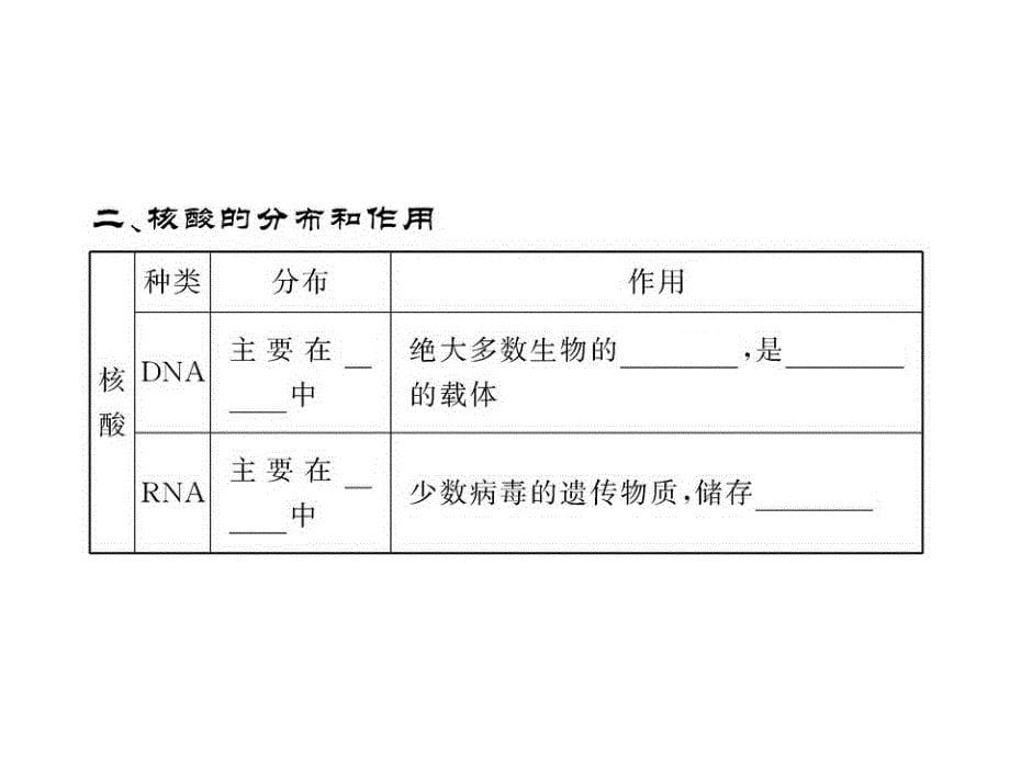 高一生物同步课件2.2.3核酸的结构和功能苏教版必修1_第5页