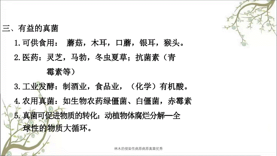 林木的侵染性病原病原真菌优秀课件_第3页