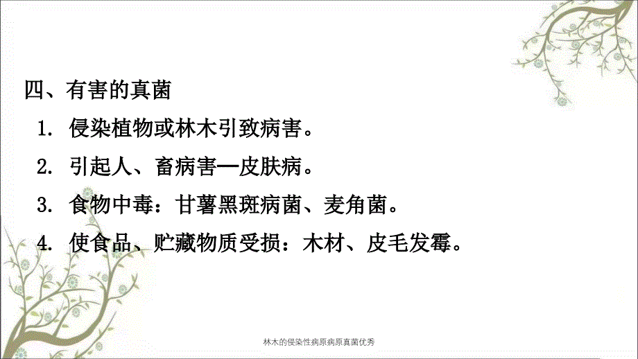 林木的侵染性病原病原真菌优秀课件_第4页