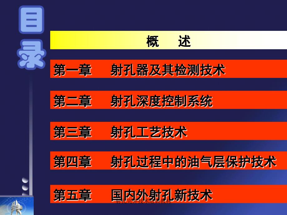 射孔完井技术培训教材课件_第2页