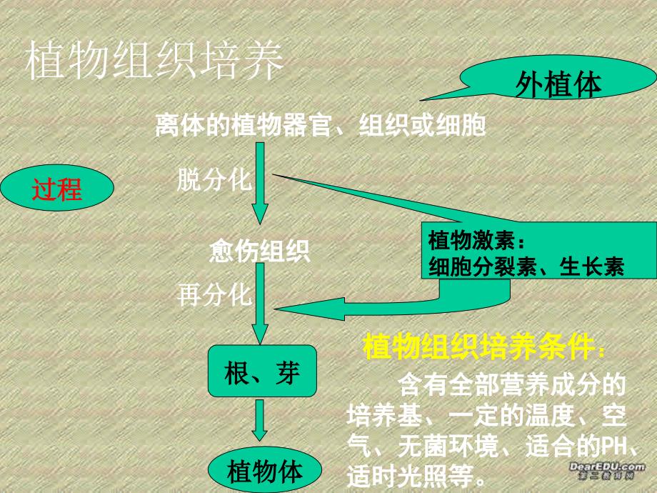 高中生物《现代生物技术在育种上的应用人教版》课件四（16张PPT）（人教版选修2）_第3页