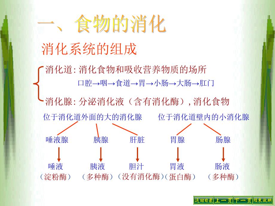 4.2.2消化和吸收教程课件_第3页