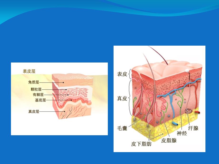 难治性溃疡的VSD治疗_第4页