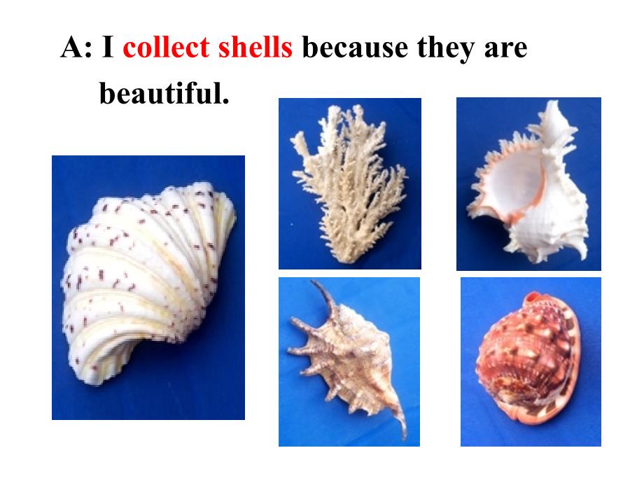 新目标人教版初中英语八年级下册Unit 6 How long have you been collecting shells精品课件_第2页