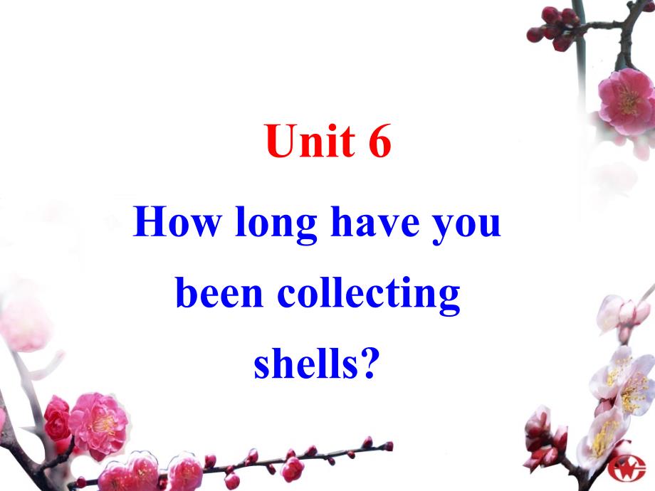 新目标人教版初中英语八年级下册Unit 6 How long have you been collecting shells精品课件_第3页