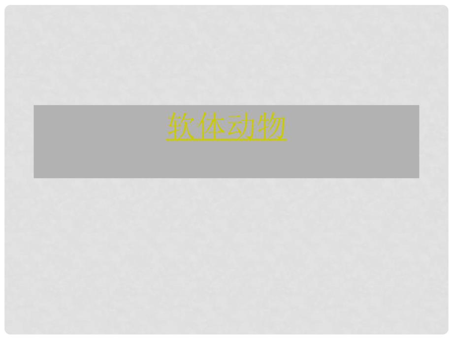 七年级生物上册 第三章 第三节 常见的动物课件 冀教版_第2页