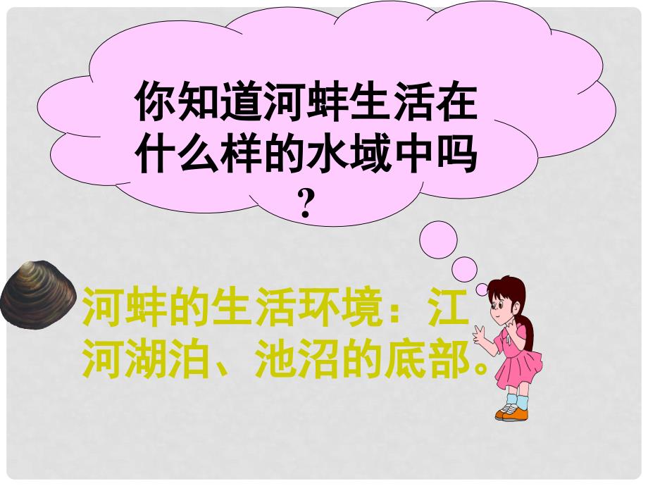 七年级生物上册 第三章 第三节 常见的动物课件 冀教版_第4页