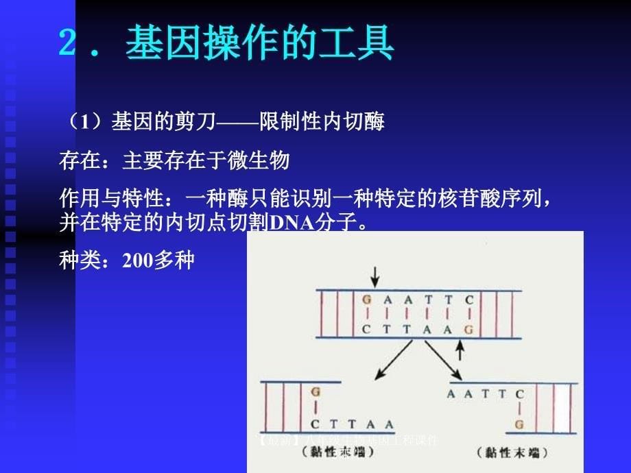 最新八年级生物基因工程课件2课件_第5页