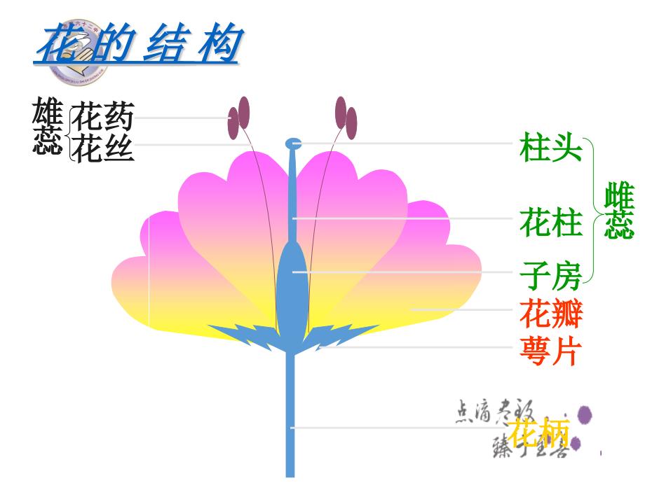 第二节植物的有性生殖 (2)_第2页