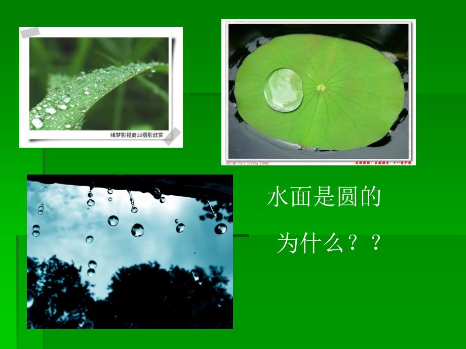 青岛版小学科学《水面的秘密》_第4页