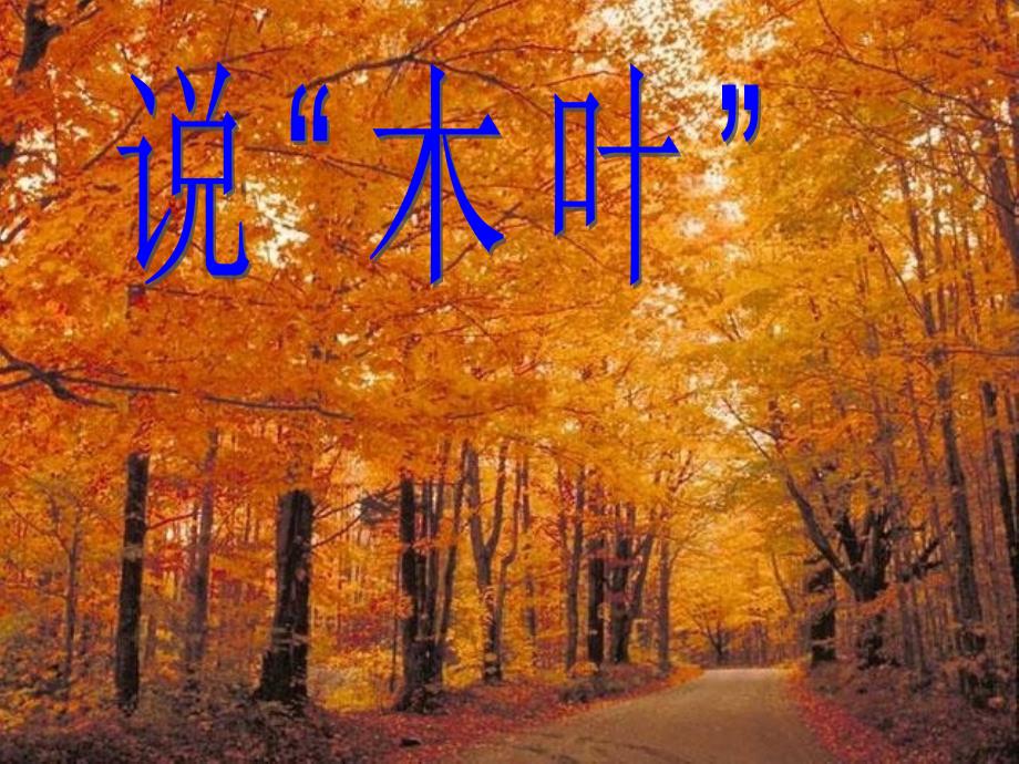 说木叶——优秀实用修订版_第1页