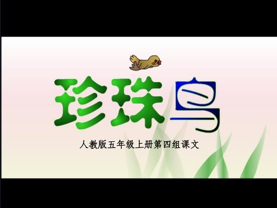 《珍珠鸟》课件(虞大明).ppt_第3页