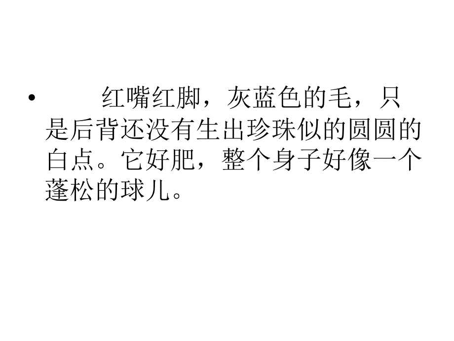 《珍珠鸟》课件(虞大明).ppt_第4页