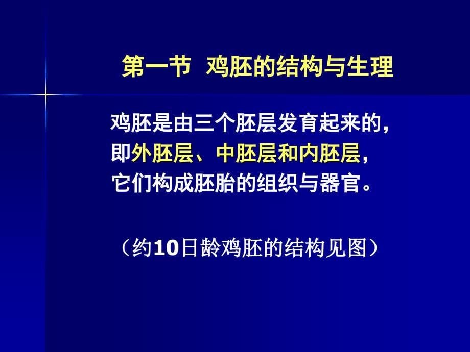 鸡胚接种技术_第5页