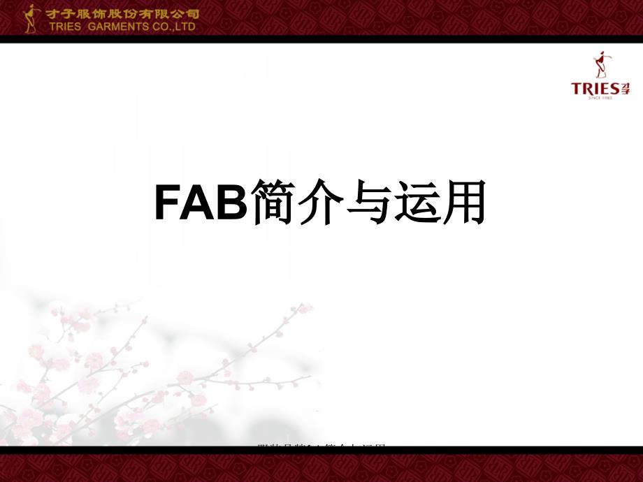 服装品牌fab简介与运用课件_第1页