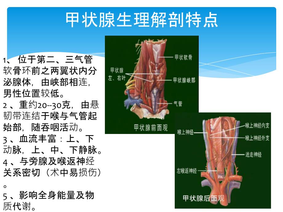 甲状腺术式和切口与入路选择研究进展_第2页