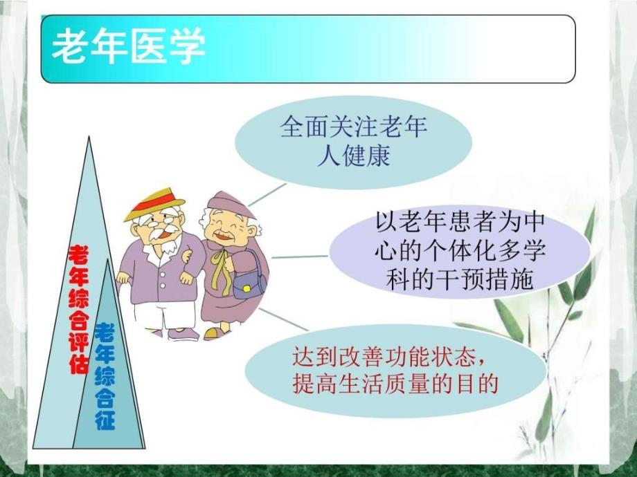 老年综合评估和老年综合征图文.ppt_第2页