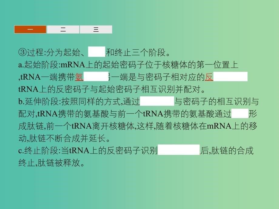 2019年高中生物 第四章 遗传的分子基础 4.3 基因控制蛋白质的合成课件 苏教版必修2.ppt_第5页