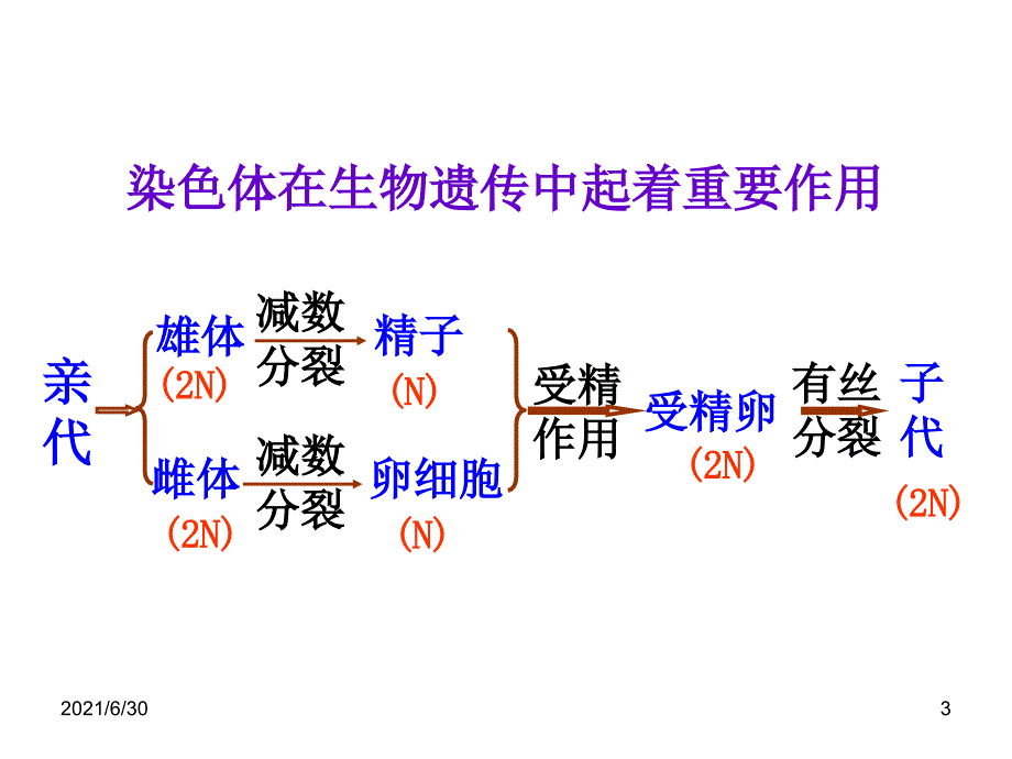 DNA是主要的遗传物质2012年高三_第3页