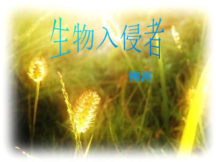 19生物入侵者_第1页