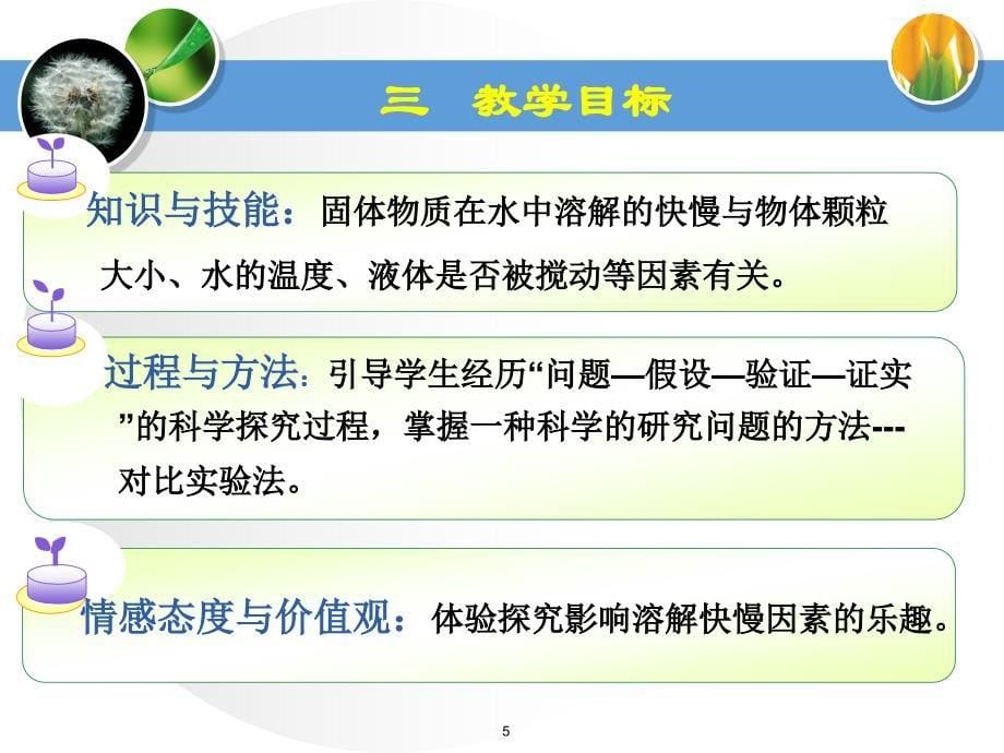 教科版科学四上溶解的快与慢说课课件_第5页