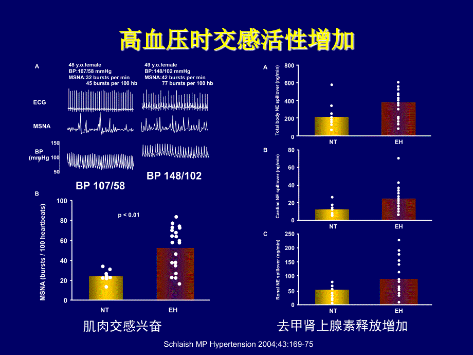 β受体阻滞剂在高血压治疗中的意义文档资料_第2页