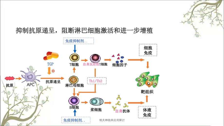 帕夫林临床应用探讨_第3页