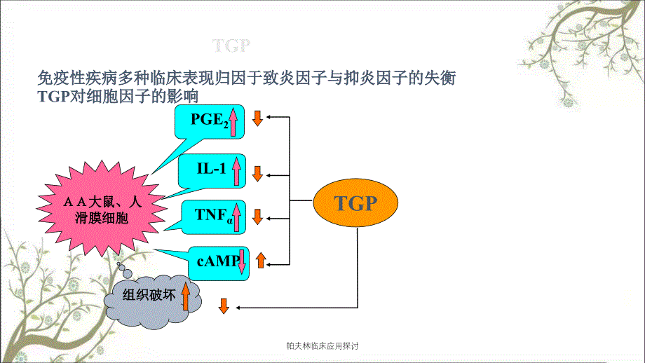 帕夫林临床应用探讨_第4页