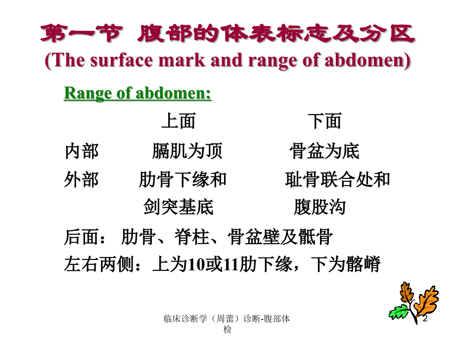 临床诊断学周蕾诊断腹部体检课件_第2页