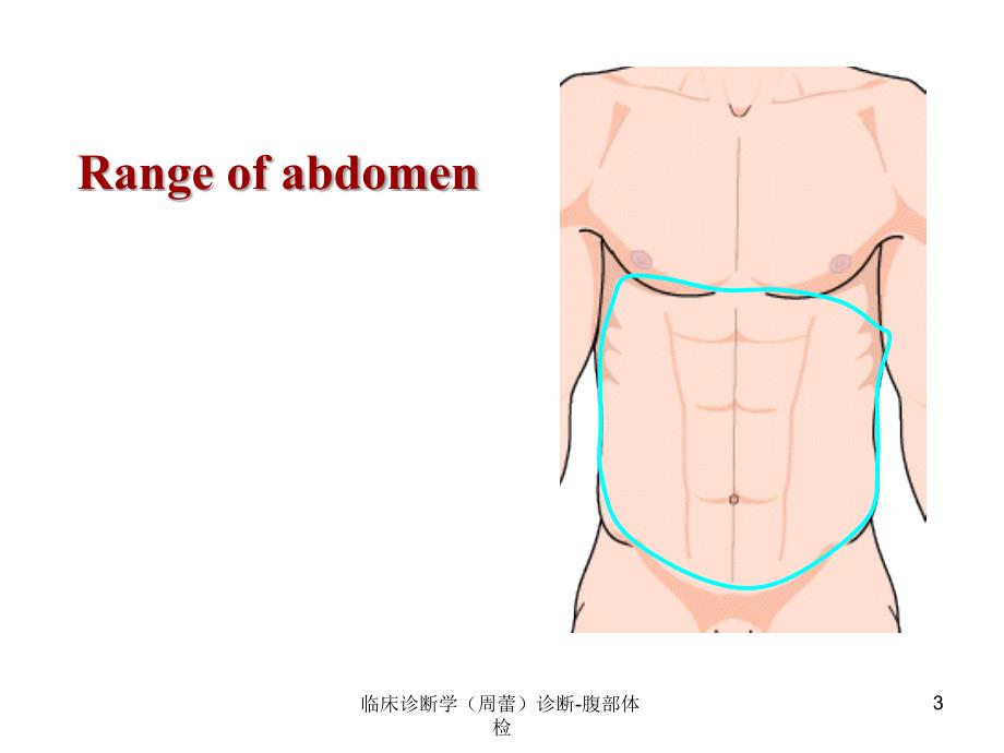 临床诊断学周蕾诊断腹部体检课件_第3页