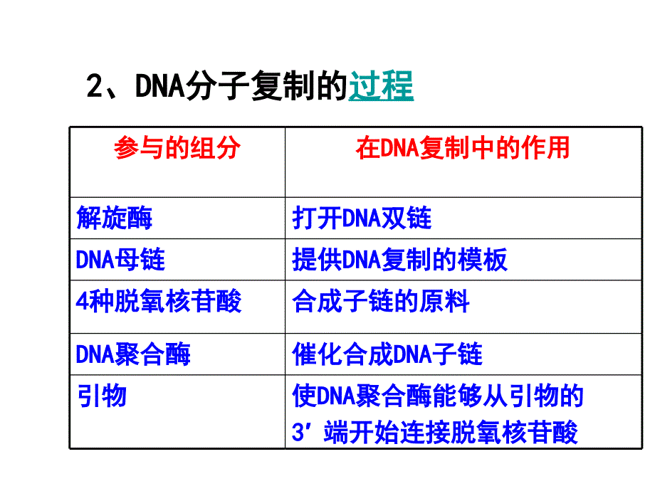 52多聚酶链式反应扩增DNA_第4页