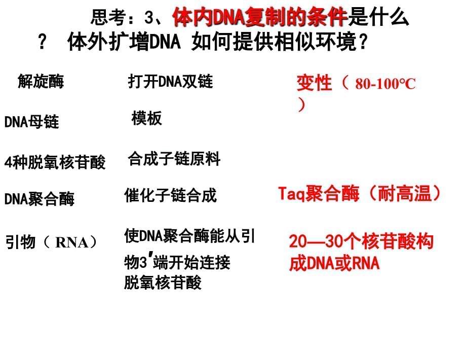 52多聚酶链式反应扩增DNA_第5页