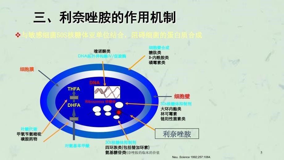 利奈唑胺的临床的价值课件_第5页