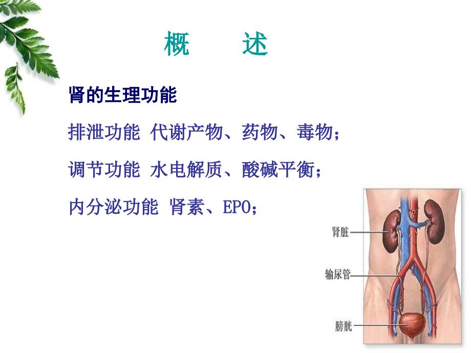 病理生理学16肾功能不全_第3页