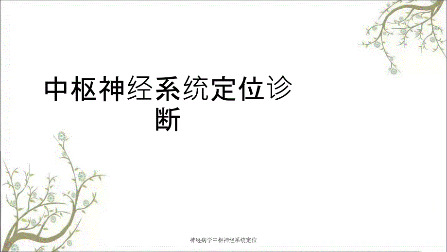 神经病学中枢神经系统定位_第1页