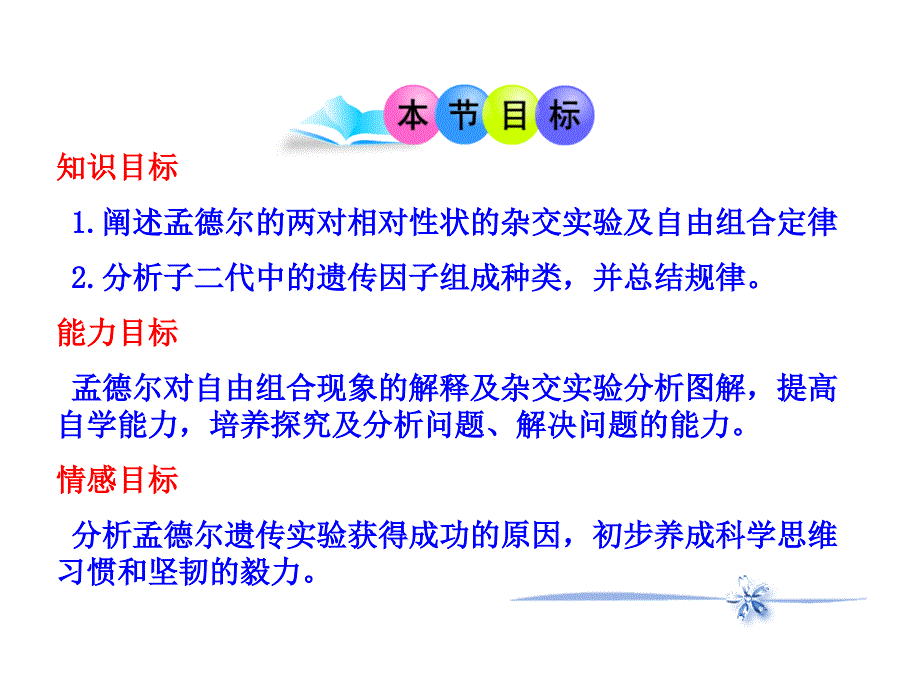 第二节-孟德尔的豌豆杂交实验(二)PPT_第4页