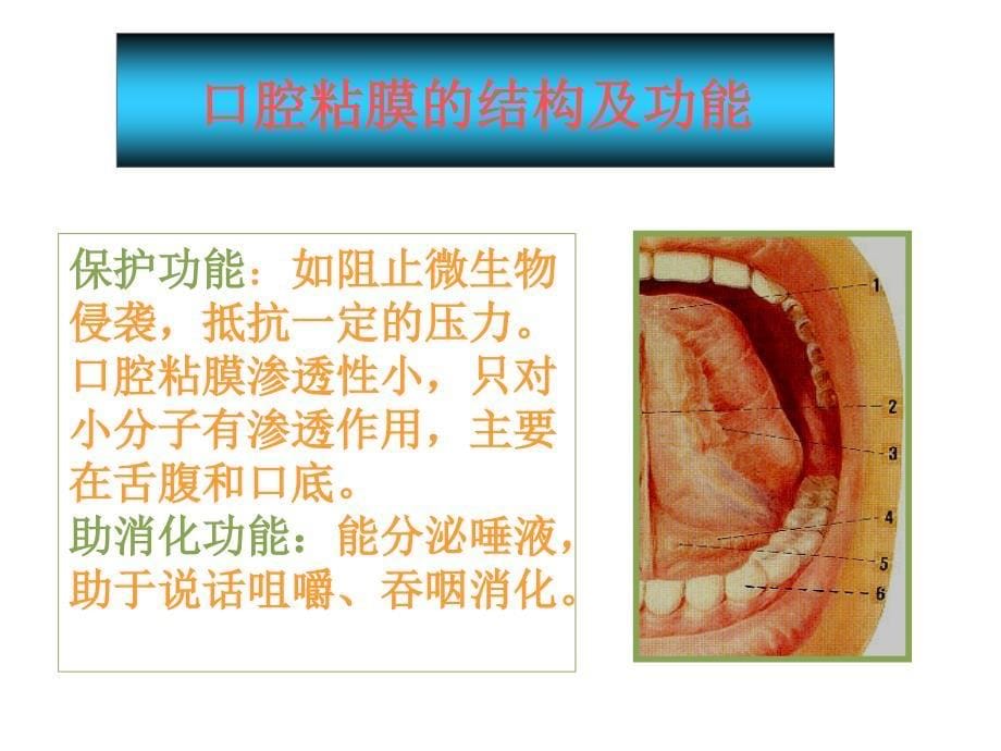 口腔溃疡诊断及鉴别_第5页