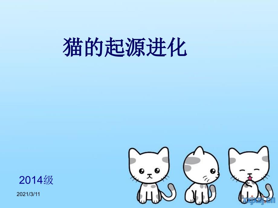 猫的起源与进化_第1页